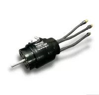 Tenshock Evo 2240 (37mm x 60mm long) P Limited Racing Motor